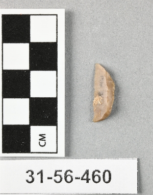 31-56-460