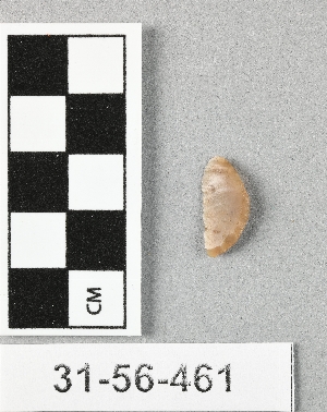 31-56-461