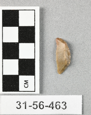 31-56-463