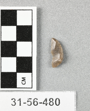 31-56-480
