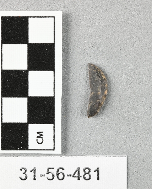 31-56-481