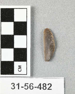 31-56-482