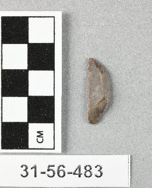 31-56-483