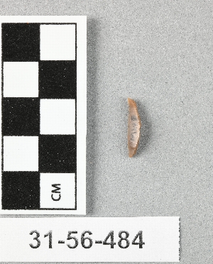 31-56-484