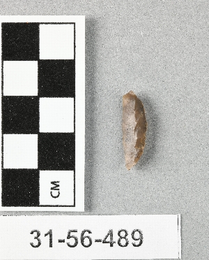 31-56-489