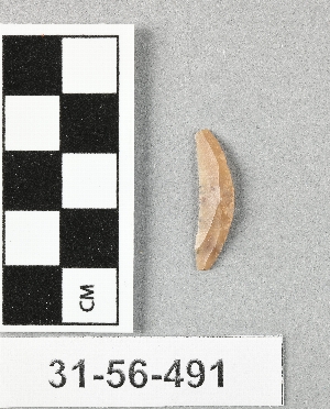 31-56-491