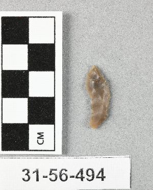 31-56-494
