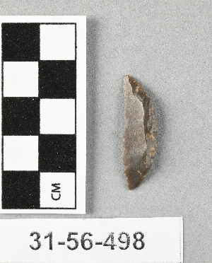 31-56-498