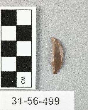 31-56-499