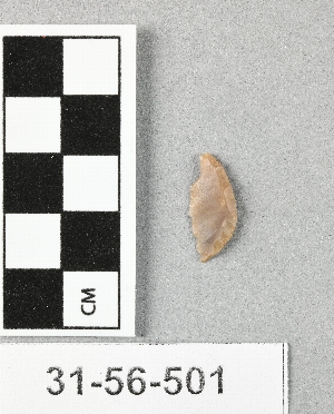 31-56-501