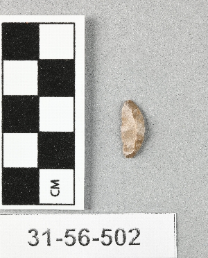 31-56-502