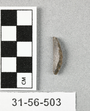 31-56-503