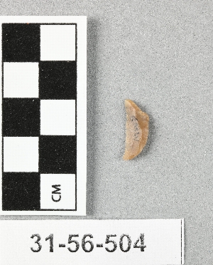 31-56-504
