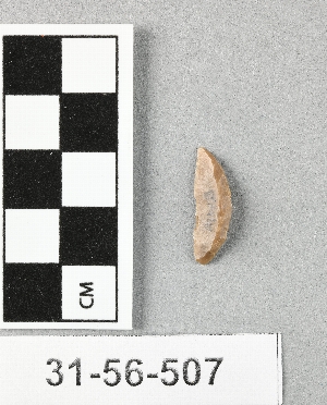 31-56-507