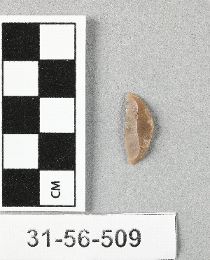31-56-509