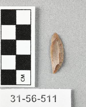31-56-511