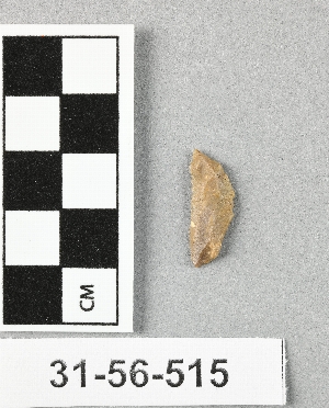 31-56-515