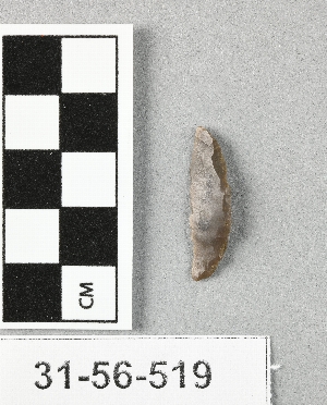 31-56-519