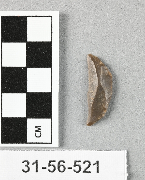 31-56-521