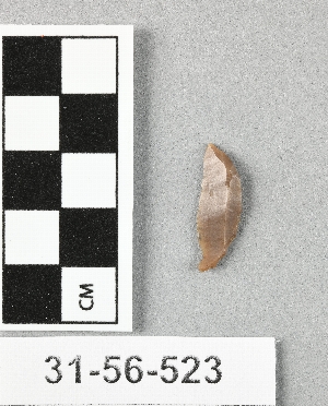31-56-523