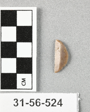 31-56-524