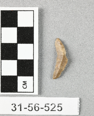 31-56-525