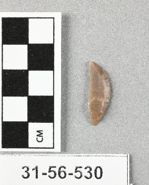 31-56-530