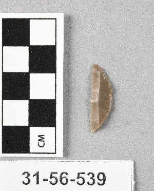 31-56-539