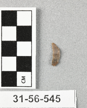 31-56-545