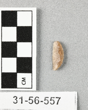 31-56-557