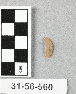 31-56-560