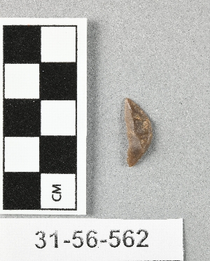 31-56-562