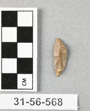 31-56-568