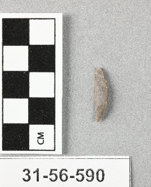 31-56-590