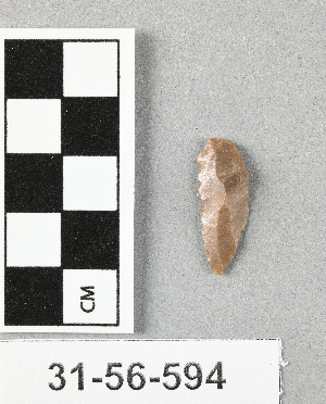 31-56-594