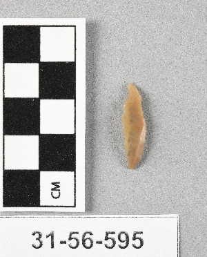 31-56-595
