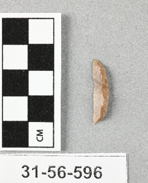 31-56-596