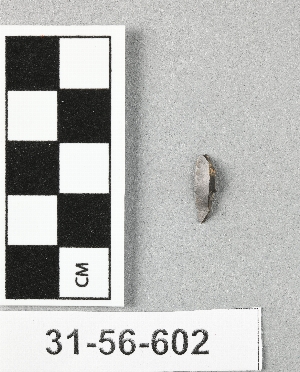 31-56-602