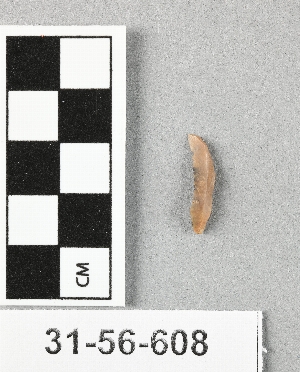 31-56-608