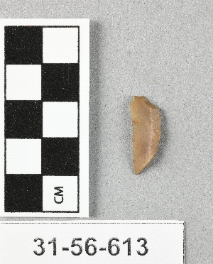 31-56-613