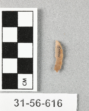31-56-616