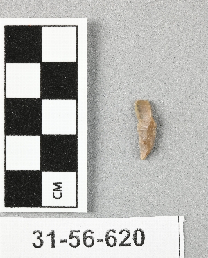 31-56-620
