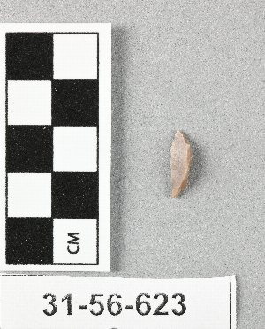31-56-623