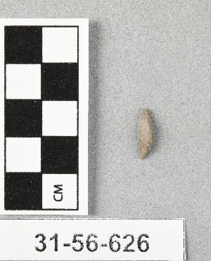 31-56-626