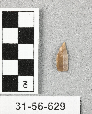 31-56-629