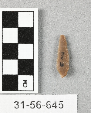 31-56-645