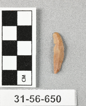 31-56-650