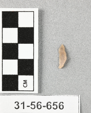 31-56-656