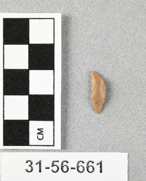 31-56-661