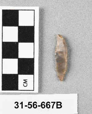 31-56-667B